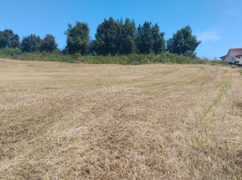 Foto 5774ea7a-8321-4557-a352-4672c25652c3. Terreno residenziale in camin de los molinos 104 in Gijón