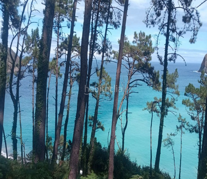 Foto 279a1489-f4fa-4827-b192-93ce80a32bb2. Mas dans carretera de la rondiella 1 dans Cudillero