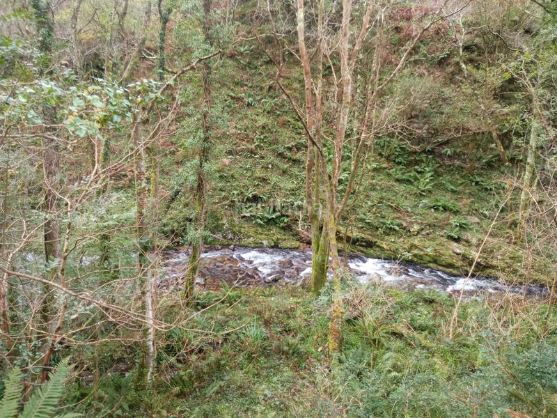 Foto 7b36512f-9300-4ed7-9776-712ab48c715c. Mas dans carretera de la rondiella 1 dans Cudillero