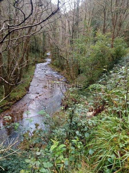 Foto c2c27adb-37ab-48f1-a69a-bcac7a504487. Mas dans carretera de la rondiella 1 dans Cudillero