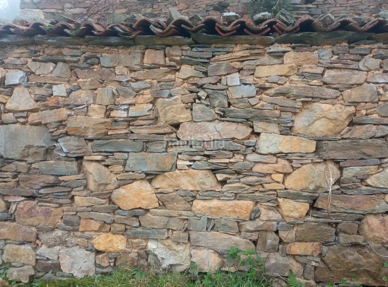 Foto cfcc3693-596c-4812-9ea0-83a46a671b38. Mas dans carretera de la rondiella 1 dans Cudillero