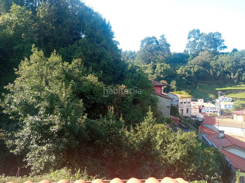 Foto dd307db4-4064-40e6-a7f8-b49bb7fc88c1. Mas dans carretera de la rondiella 1 dans Cudillero