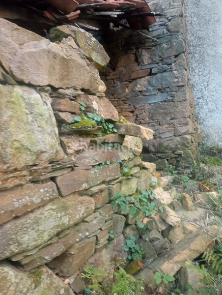 Foto 34e9fab0-5f9c-4e4f-bebe-254394979572. Masia a carretera de la rondiella 1 a Cudillero