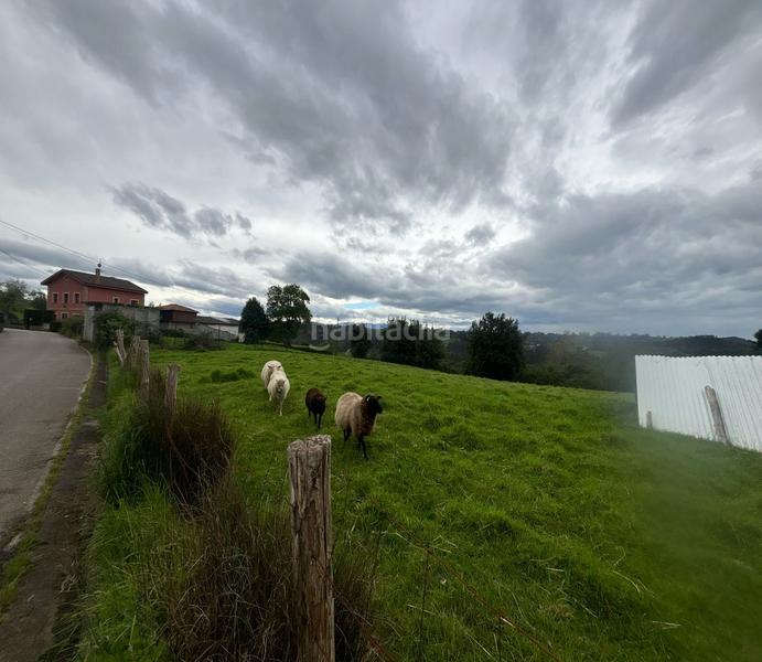 Foto 0210e07a-64ca-4608-a13a-c7284c002a82. Terreny residencial a Parroquias Norte Siero