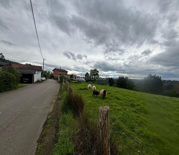 Foto 0dc49db3-aeca-4eb9-aa0b-2ca31e891b49. Terreno residenziale in Parroquias Norte Siero