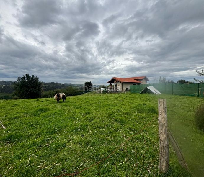 Foto 4acf96e0-ef1f-4afd-99f2-5fc109c1fde2. Terreno residenziale in Parroquias Norte Siero