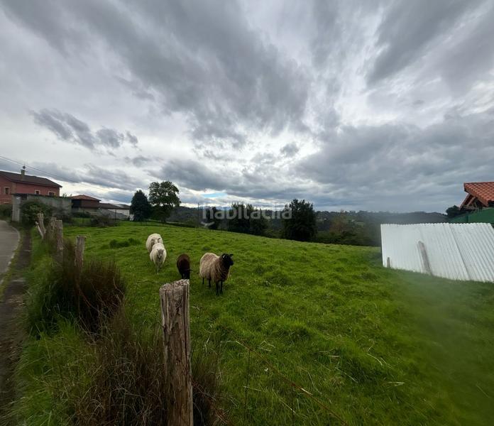 Foto a238ccc1-fbcd-46d0-8edc-c27e076ef967. Terreno residenziale in Parroquias Norte Siero