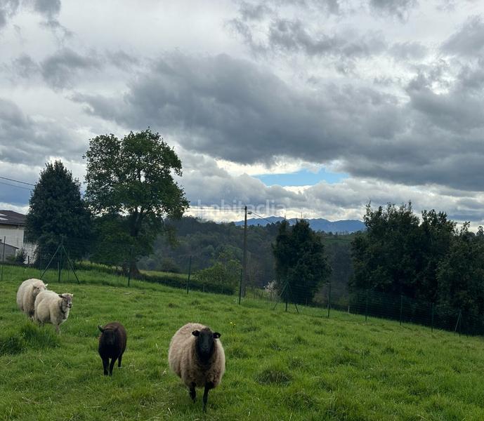 Foto a9d8cb52-bc37-4478-ab8c-107481e23e16. Terreno residenziale in Parroquias Norte Siero