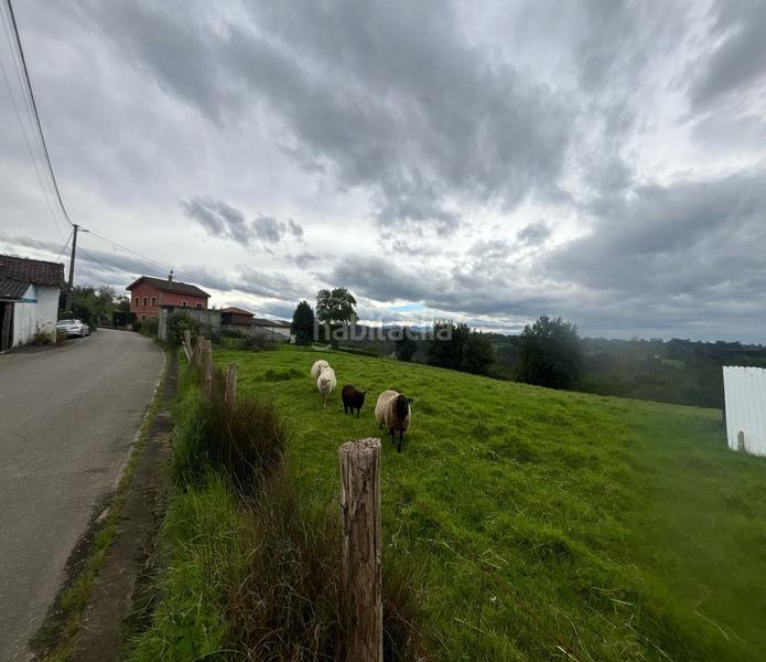 Foto c2d213e3-e4a5-4075-b7e5-c0e6ecab7812. Terreno residenziale in Parroquias Norte Siero