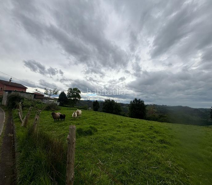 Foto 56671d82-01d6-492a-a2f1-9e919ede7b77. Wohngrundstück in Parroquias Norte Siero