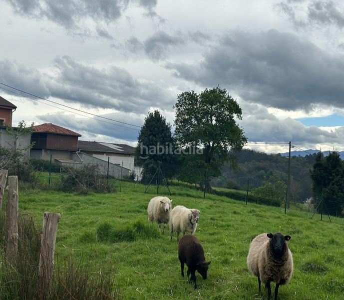 Foto 9e8542bb-a7fb-493e-82c2-cad53268211d. Wohngrundstück in Parroquias Norte Siero