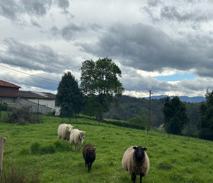 Foto d08d320c-4c11-4af0-8085-d793e87fabd4. Wohngrundstück in Parroquias Norte Siero