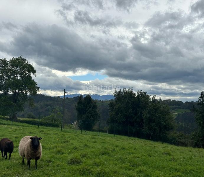 Foto d3816be6-14a9-4cad-adf7-e6db6042b00f. Wohngrundstück in Parroquias Norte Siero