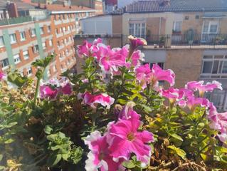 Appartement  Calle eleuterio quintanilla