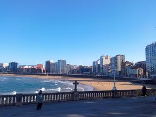 Flat  Calle la playa
