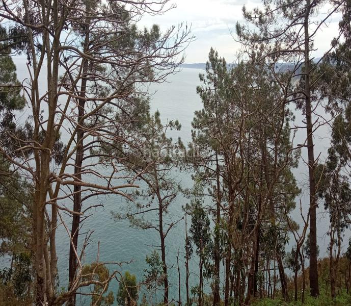 Foto d67695dd-cccf-4840-b836-8c4ee8c4d9a5. Dúplex en Cudillero