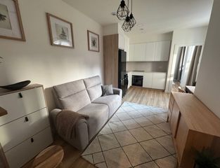 Location Appartement  Calle marqués de san esteban