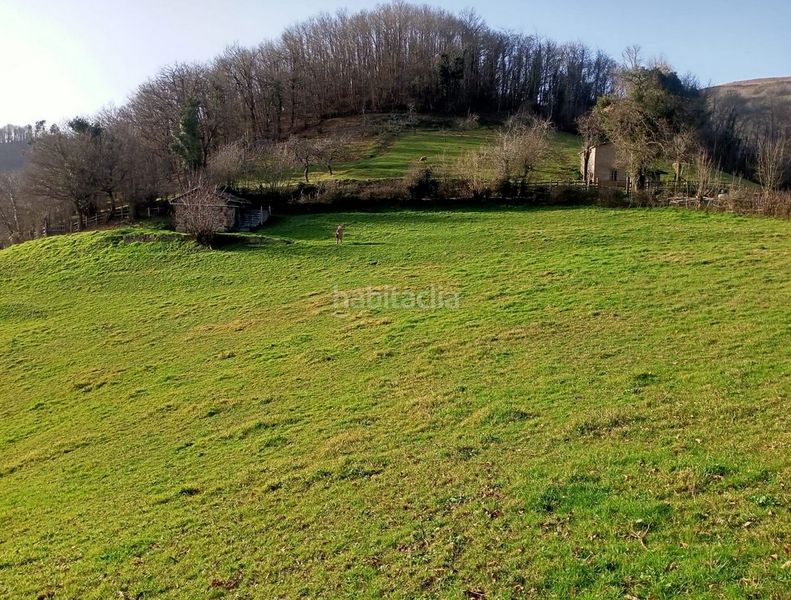 Foto 6a58bd11-839f-455b-8641-67d0624788cb. Finca rústica a Zona Rural Mieres