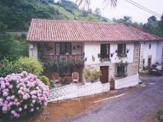 House in Peñamellera Baja