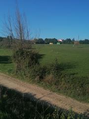 Terreny residencial a Caniles