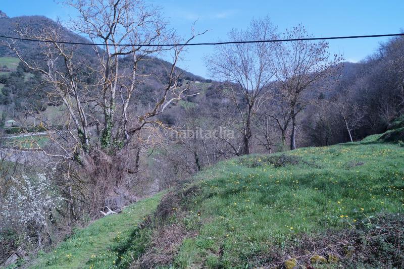 Foto 07e1b1c5-a15e-4471-8cde-0fe9fb5d2706. Casa amb calefacció a Pesaguero