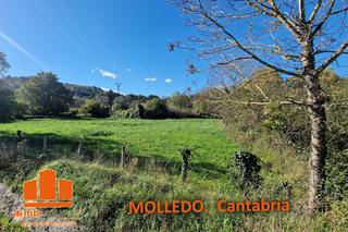 Masia a Molledo. Finca rúst. en venta en molledo.