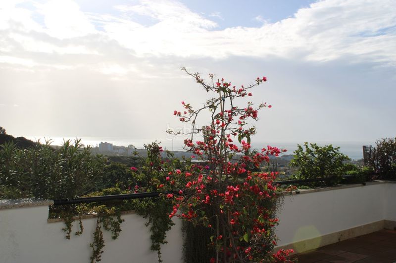 Foto b3d66802-8058-466a-b879-49612957275e. Casa amb calefacció aparcament piscina a Santa Clara Marbella