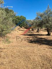 Rural plot in Cuacos de Yuste