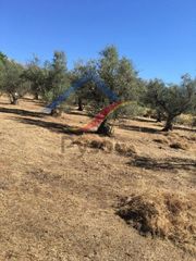 Residential Plot  Poligono 4 parcela 27. Pyso consulting inmobiliario vende magnífica finca rústica ubica