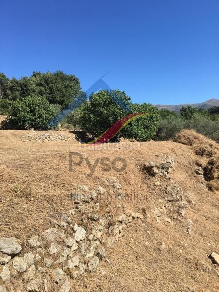 Foto 0f7dd37b-9e4b-4e8d-b44c-bbe2ca2ca250. Finca rústica a Cuacos de Yuste