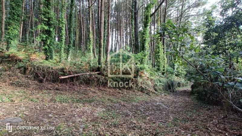 Foto 21aa91bf-1a58-4a77-98d0-59405741e3fd. Casa  en venta en zona rural de galicia. en Camariñas