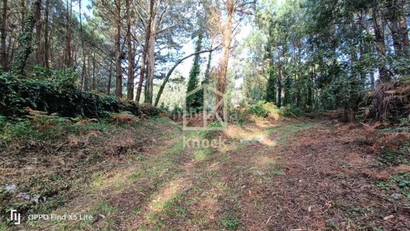 Foto 57f4908d-ffee-48e1-8c1e-aaa0d34bc9b6. Casa  en venta en zona rural de galicia. en Camariñas