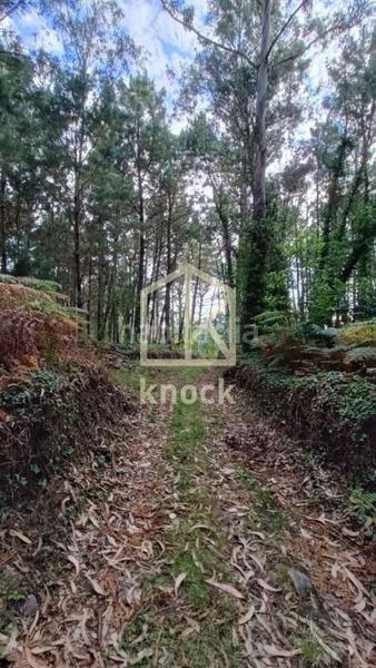 Foto ab97ad57-89da-4f69-9727-b56381e82873. Casa  en venta en zona rural de galicia. en Camariñas