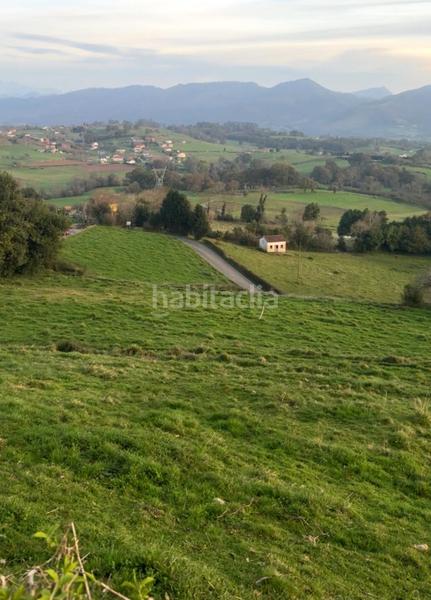 Foto 96ddb0cb-eb8f-4e22-b5fd-b5516cc6008a. Terreno residenziale in cuenya - pq cuenya in Nava