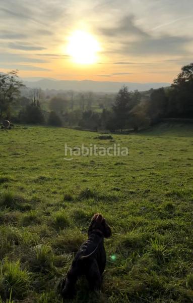 Foto a0bf54e2-1d3d-411a-97ce-0a032e25fd3d. Terreno residenziale in cuenya - pq cuenya in Nava