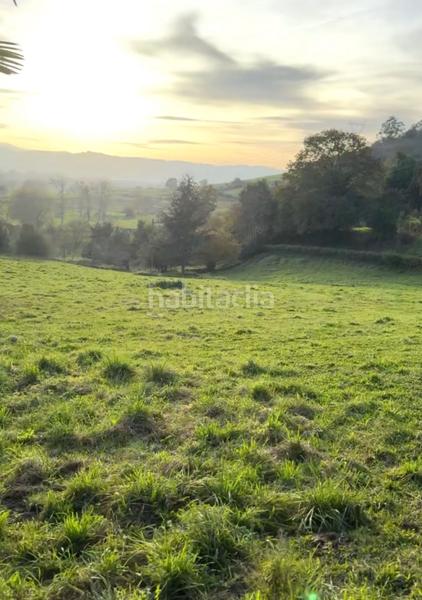 Foto a315127c-249a-4c98-84e2-881be371c6e0. Terreno residenziale in cuenya - pq cuenya in Nava