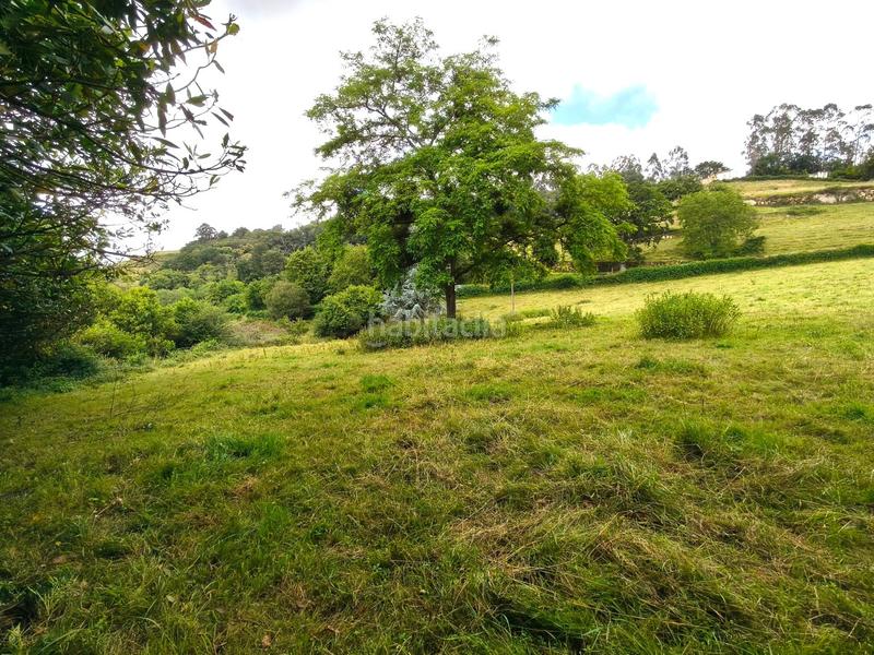 Foto e8f3de3d-855c-455b-bcd5-61ada521efb2. Terreno residenziale in cuenya - pq cuenya in Nava