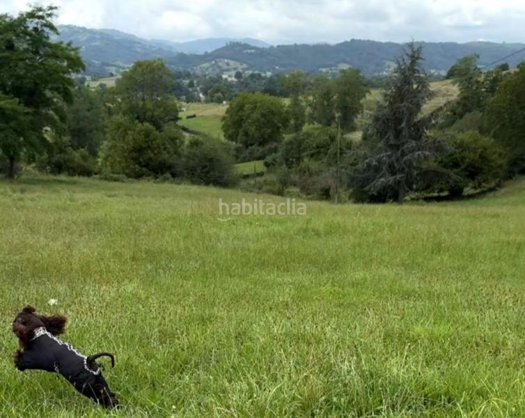 Foto f050fd5f-3b53-467c-8796-559280da3940. Terreno residenziale in cuenya - pq cuenya in Nava