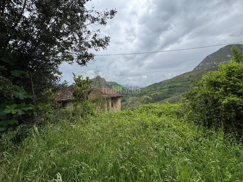 Foto 63fd32fd-7d9d-4da6-b81a-3e56881b090d. Reihenhaus in Amieva - pb pen 14 in Amieva