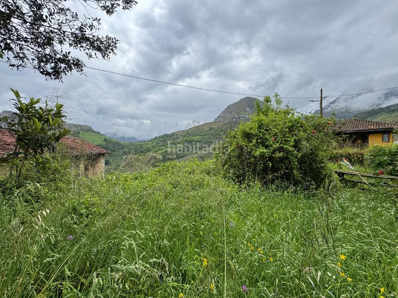 Foto 6ed234db-7b5d-4b3c-a84f-aa41de16313b. Reihenhaus in Amieva - pb pen 14 in Amieva