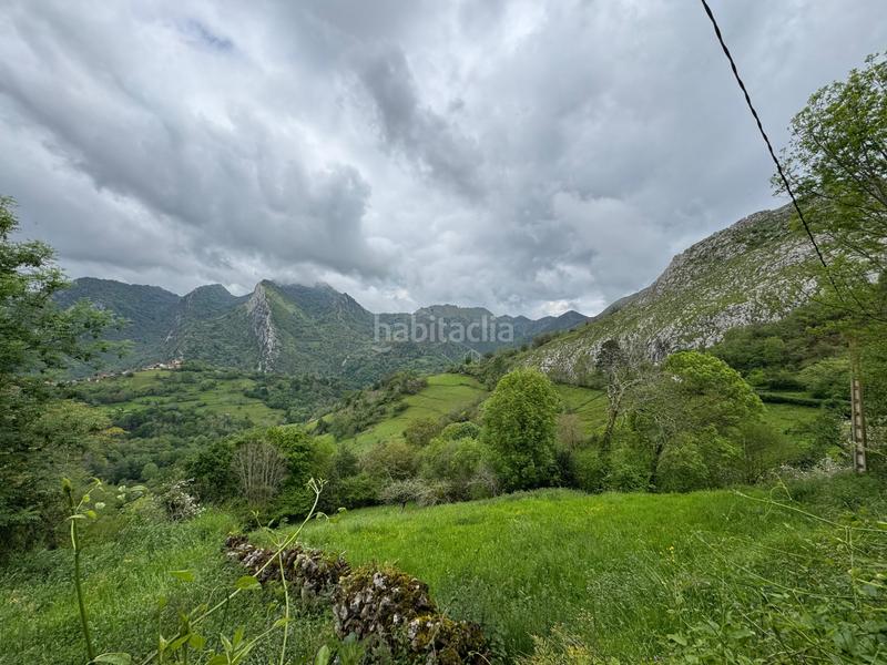 Foto 70139d89-146a-408d-97eb-9340a8630bcf. Reihenhaus in Amieva - pb pen 14 in Amieva