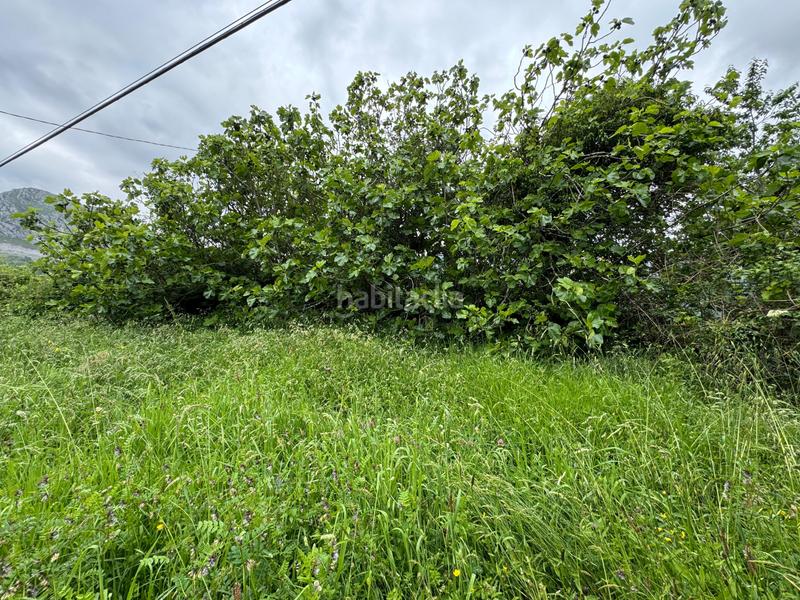 Foto 71315a26-2e3c-489c-8fa3-15b5c671a4c7. Reihenhaus in Amieva - pb pen 14 in Amieva