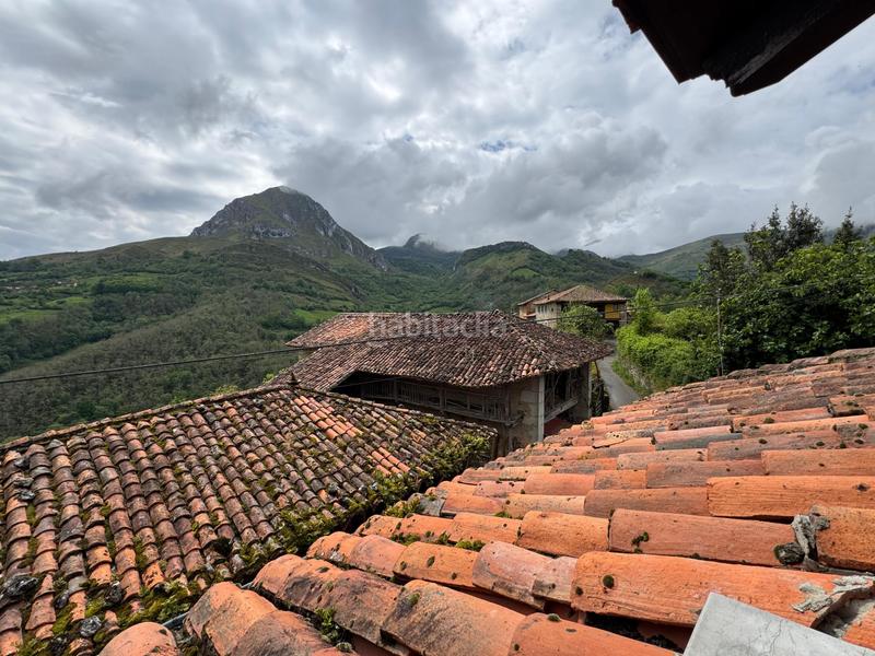 Foto eae11979-9f2d-4625-a1db-49983f1156f4. Reihenhaus in Amieva - pb pen 14 in Amieva