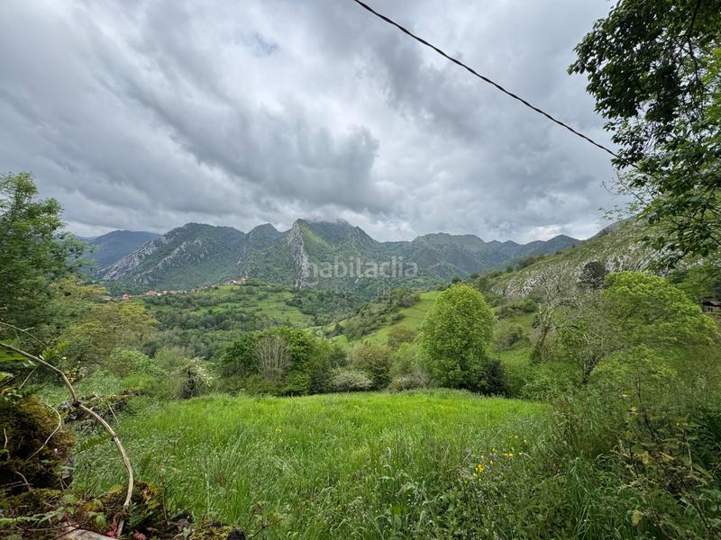 Foto f8873065-2247-4677-9fe2-9a161b4e63da. Reihenhaus in Amieva - pb pen 14 in Amieva