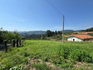 Residential Plot in Villaviciosa - santa eulalia de nievares. Finca cerrada de 1366 m2 a la venta en parroquia de nievares, vi