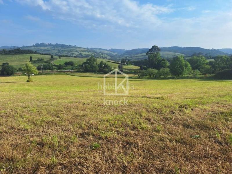 Foto 41ac60c1-a7ca-48ce-81e2-49242b8feeaa. Terreny residencial a Carreño