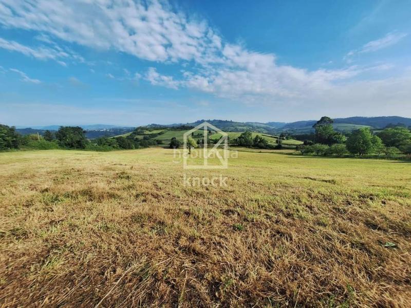 Foto b2ce5b9e-d257-4935-b927-59c7b4e6ac3f. Terreny residencial a Carreño