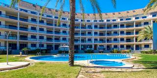 Affitto Piccolo appartamento  Carretera de les marines a dénia 13. Alquiler hasta mayo, apartamento junto casco urbano a 100 mts de