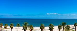 Location Appartement  Carrer del riu de gallinera s/n. Alquiler anual. atico frontal al mar con 3 dormitorios y salida