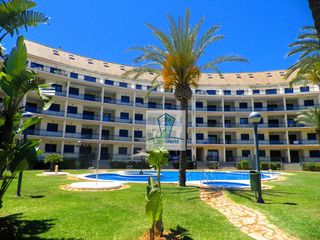 Affitto Piccolo appartamento in Carretera de les marines a dénia 13. Apartamento en denia para vacaciones, a 100 mts de la playa y a